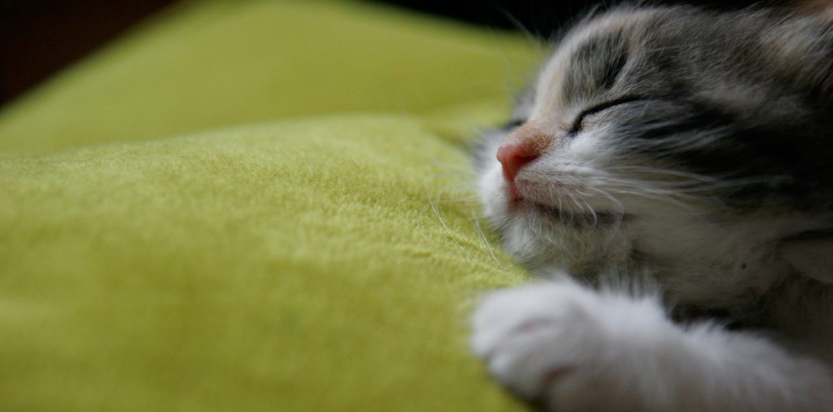 Avoid Fundraiser Burnout