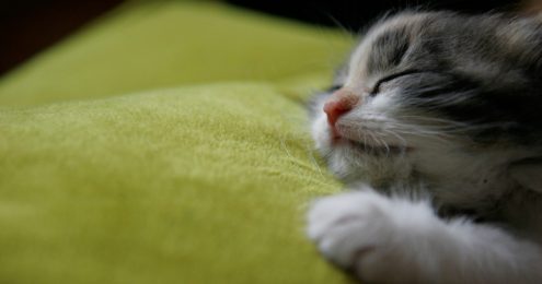 Avoid Fundraiser Burnout