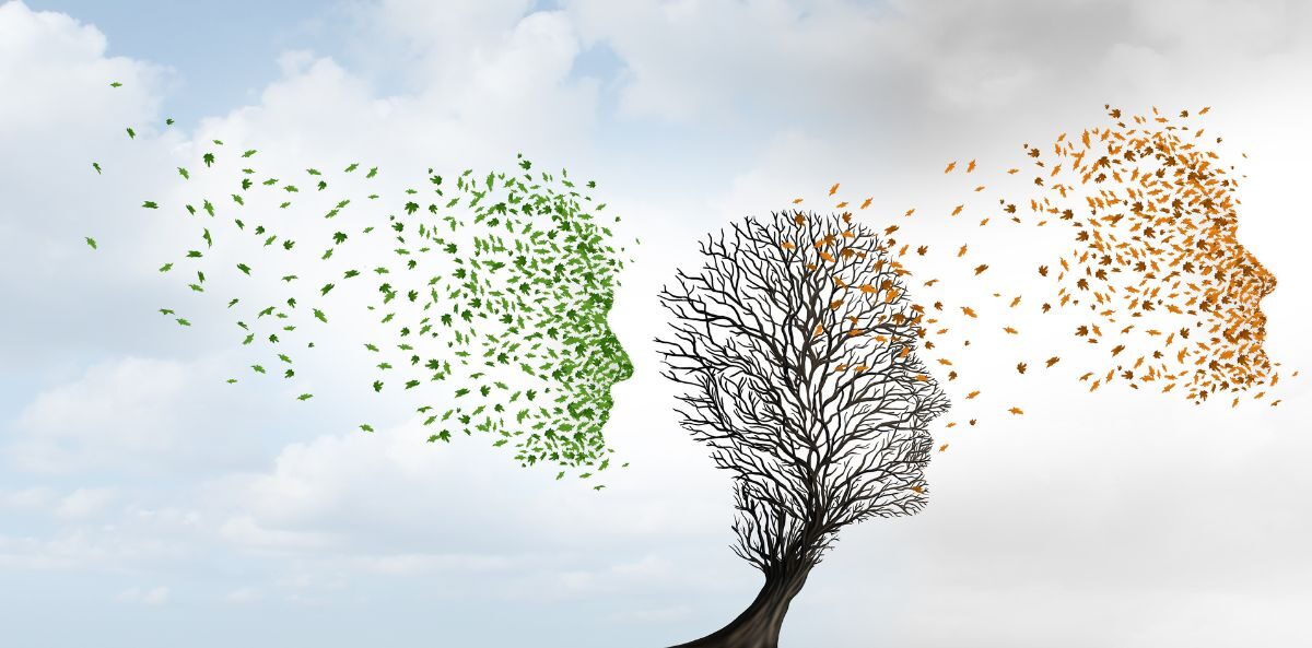 nonprofit advisory boards - Green tree leaves in the shape of a face floating towards a tree from the left-hand side in a blue sky. On the right, faded orange and brown leaves are leaving the tree in the shape of a face into a cloudy sky.