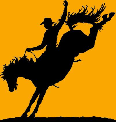 A Day in the Life of an Executive Director