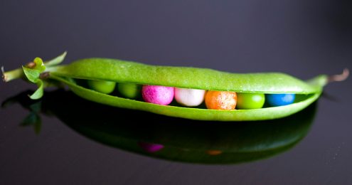 Creative Fundraising