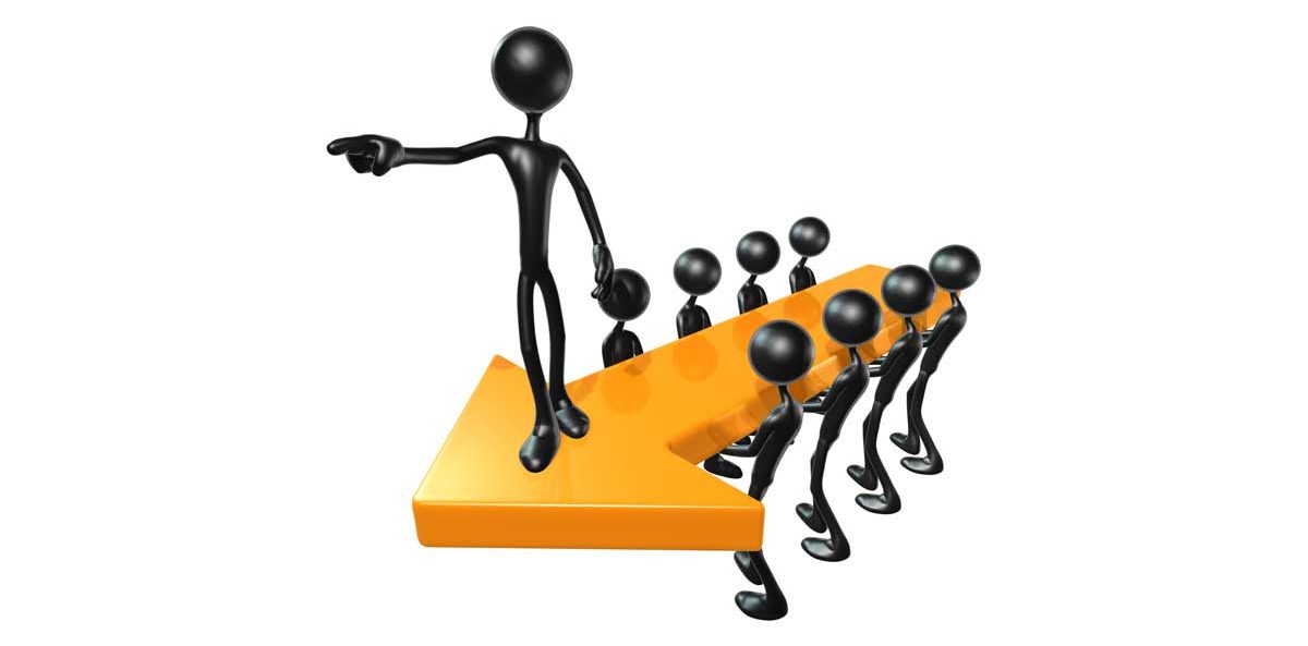 Executive Director Interview