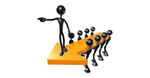 Executive Director Interview