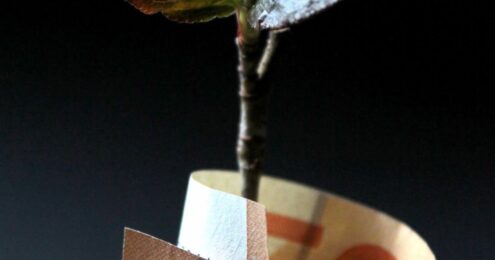 A plant wrapped on paper