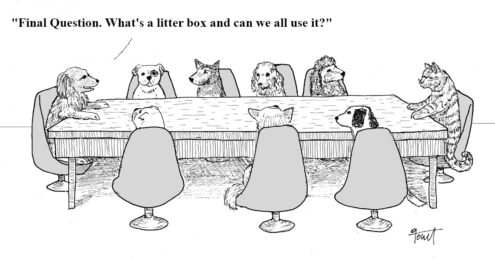 development director interview - A grey scale illustration of a collection of dogs and one cat sitting at a long table for an interview where the cat is the one being interviewed. The dog at the far end of the table is asking, "Final Question. What's a litter box and can we all use it?"