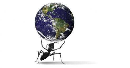 Nonprofit Leadership Lab: Ant carrying the globe