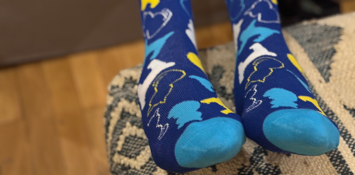 Close-up of a pair of feet wearing blue socks decorated with colorful outlines of birds in flight, including yellow, white, and various shades of blue. The socks have bright turquoise toes and rest on a woven cushion with a black-and-cream geometric pattern. Donor SWAG from Bidaewee.